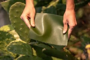 Exploring Leading Cactus Leather Manufacturers in India
