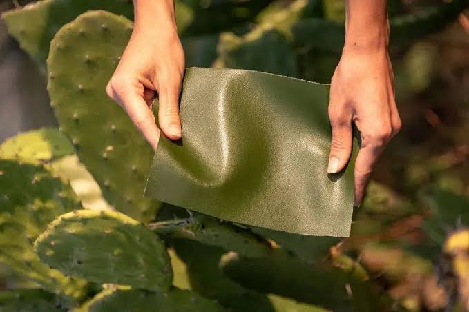 Exploring Leading Cactus Leather Manufacturers in India