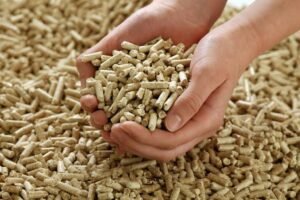 Top Biomass Pellets Manufacturers in India: Pioneers in Renewable Energy