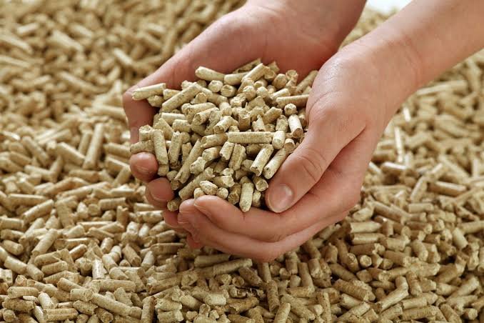 Top Biomass Pellets Manufacturers in India: Pioneers in Renewable Energy